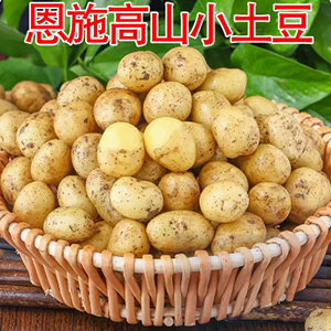 恩施小土豆现挖