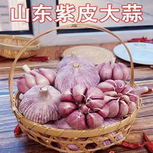 山东金乡紫皮大蒜头干蒜5斤批发2023新鲜祘头籽10斤农家蒜米种子