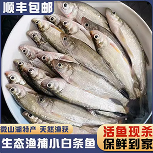 顺丰小白鱼餐条鱼刁子鱼淡水小河鱼野杂鱼翘嘴鱼商用新鲜现杀净膛