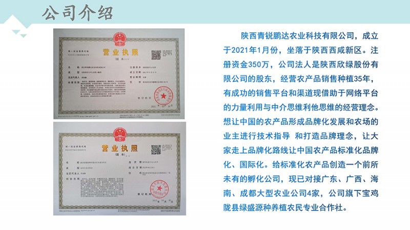 d1d52ee2c229f54c30832b3e5957464d_页面_04