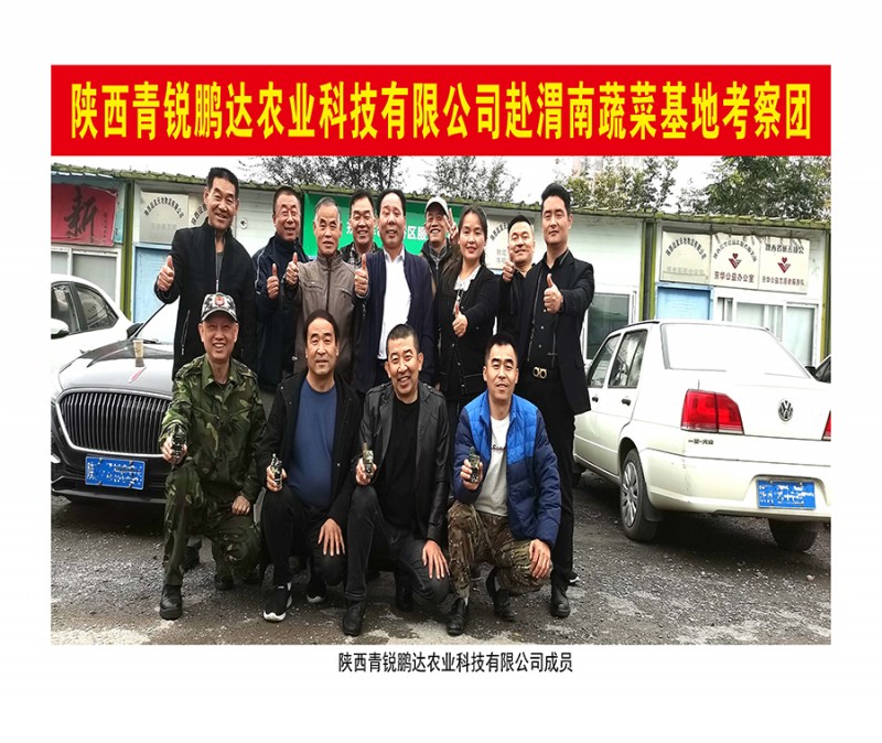 d1d52ee2c229f54c30832b3e5957464d_页面_05