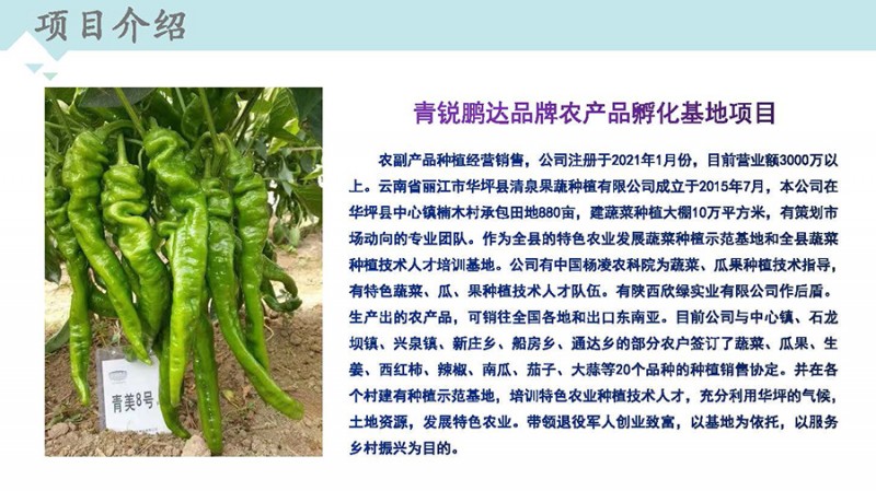 d1d52ee2c229f54c30832b3e5957464d_页面_06