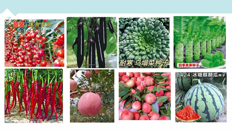 d1d52ee2c229f54c30832b3e5957464d_页面_22