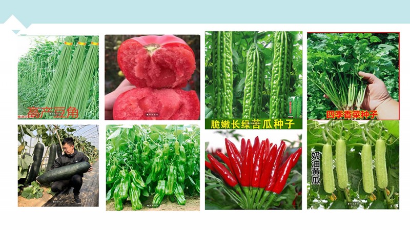 d1d52ee2c229f54c30832b3e5957464d_页面_23