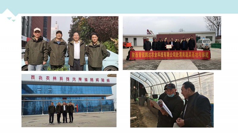 d1d52ee2c229f54c30832b3e5957464d_页面_27
