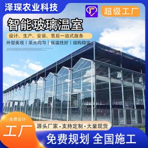 玻璃温室大棚骨架 蔬菜花卉大棚 农业玻璃骨架智能大棚